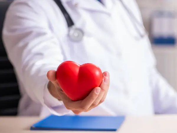Cardiologist holding a heart model while discussing heart health